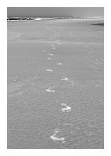 photograph of footsteps on beach sand with sea waves in the background