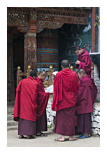 Group of buddhist monks with papers