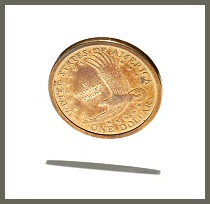 stock coin one dollar gold golden close-up macro e pluribus unum